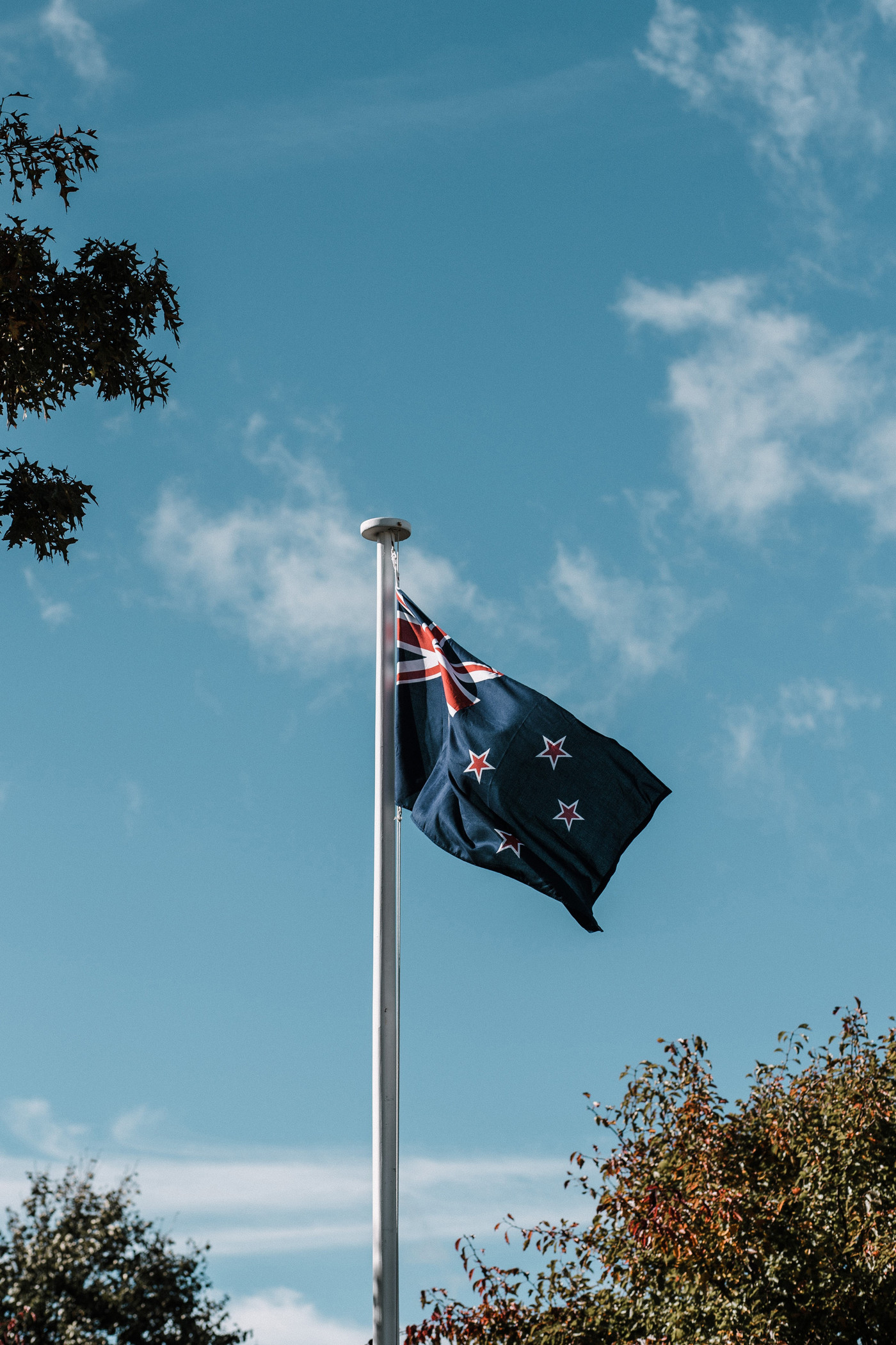 New Zealand Flag