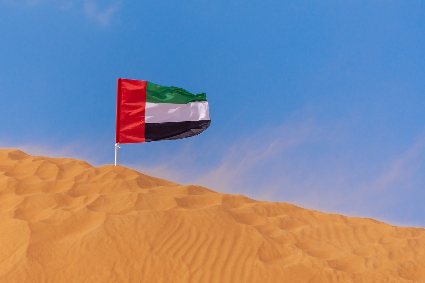 UAE Flag